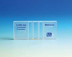 cellule de malassez