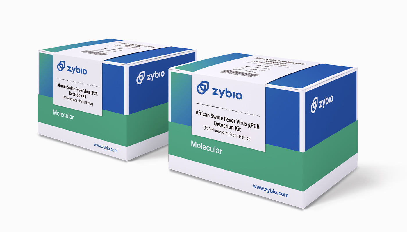 HBV DNA -detection quantitative PCR Test